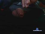 Mickypl cam4 livecam show performer room profile