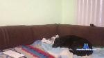 sara456sara cam4 livecam show performer room profile