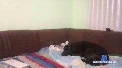 sara456sara cam4 live cam performer profile