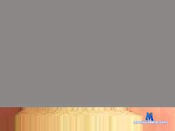 will_immmer cam4 live cam performer profile
