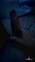 Bilnab cam4 livecam show performer room profile