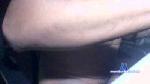 paudecavalosexy cam4 livecam show performer room profile