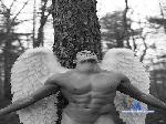 thelandbreaker5 cam4 livecam show performer room profile