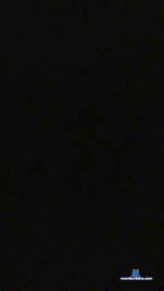 pusher26_xxx cam4 livecam show performer room profile