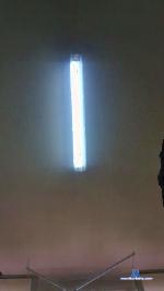 Incognitos_ cam4 livecam show performer room profile
