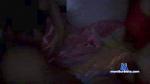 2sweetangelshot cam4 livecam show performer room profile