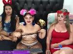 am514 cam4 livecam show performer room profile