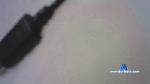 hornd269 cam4 livecam show performer room profile
