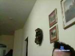 juan654 cam4 livecam show performer room profile