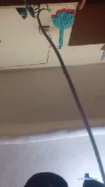 eltepho_17cms cam4 livecam show performer room profile