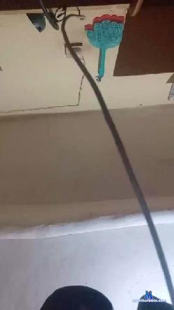 eltepho_17cms cam4 live cam performer profile