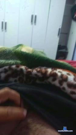 FardadosSC cam4 live cam performer profile