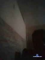 dotado169 cam4 livecam show performer room profile