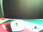 kendrahills cam4 livecam show performer room profile