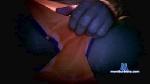 extremaleche cam4 livecam show performer room profile