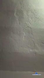 sx123x cam4 livecam show performer room profile