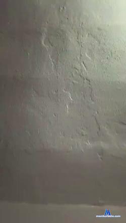 sx123x cam4 live cam performer profile