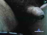 Toromachox cam4 livecam show performer room profile