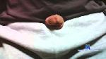 keroero cam4 livecam show performer room profile