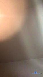 puppies2 cam4 livecam show performer room profile