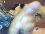 danielesfond cam4 livecam show performer room profile