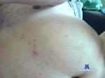 gordinho4445 cam4 livecam show performer room profile