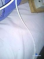 axfull2 cam4 livecam show performer room profile