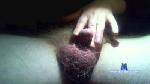mrmike80 cam4 livecam show performer room profile