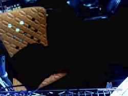 roland939 cam4 live cam performer profile