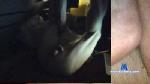rotbruder cam4 livecam show performer room profile