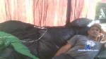 KaueLuppi cam4 livecam show performer room profile
