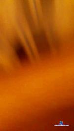 calojero75 cam4 livecam show performer room profile