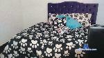 TonyCellumbo cam4 livecam show performer room profile