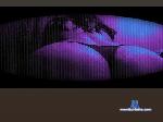 conejita_blanc3 cam4 livecam show performer room profile
