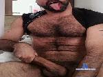 The_Hairy_Thick cam4 livecam show performer room profile