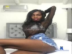 black_rose_sex1 cam4 live cam performer profile