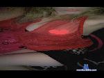 missbfun1 cam4 livecam show performer room profile