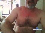 brazilbear1 cam4 livecam show performer room profile