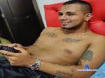 angel_arangoo cam4 livecam show performer room profile