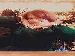 BridgetAdderly cam4 livecam show performer room profile