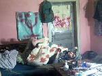 Flavioambrosi cam4 livecam show performer room profile