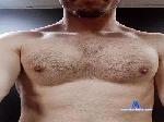 polinimarco23g1 cam4 livecam show performer room profile