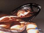 Indiazinha_19 cam4 livecam show performer room profile