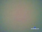 swen44 cam4 livecam show performer room profile