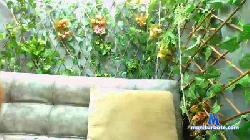 Sofia_Wiland cam4 live cam performer profile