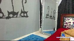Neneatrevidoo cam4 live cam performer profile