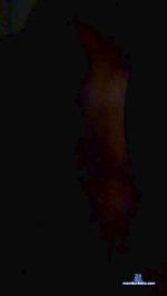 Scannew90 cam4 livecam show performer room profile