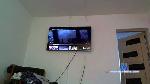 dirtywild3 cam4 livecam show performer room profile