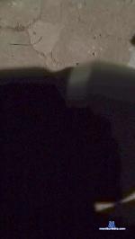 Frajuni cam4 livecam show performer room profile