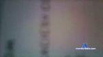 sergiozn1 cam4 livecam show performer room profile